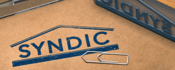 syndic